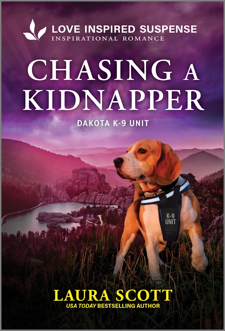 Cover image for Chasing A Kidnapper, isbn: 9781038953308