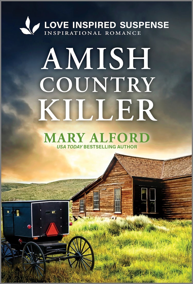 Cover image for Amish Country Killer, isbn: 9781038953315