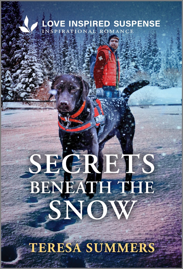 Cover image for Secrets Beneath The Snow, isbn: 9781038953339