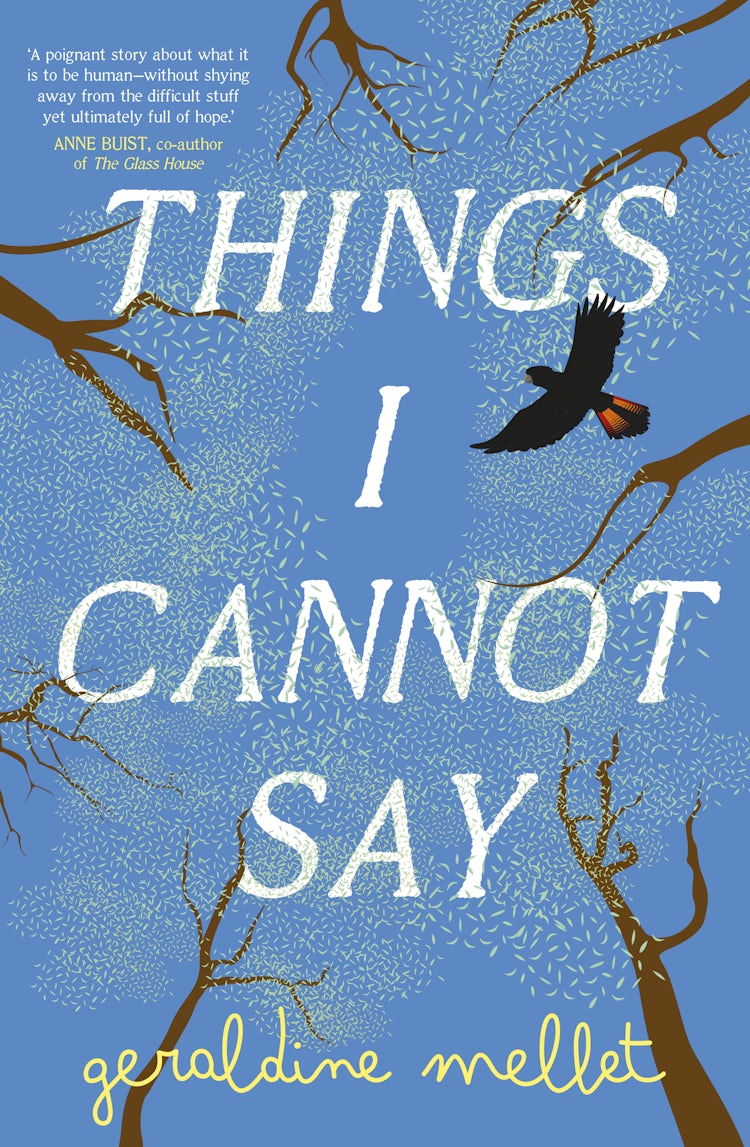 Cover image for Things I Cannot Say: An important and powerful debut for fans of Graeme Simsion and Anne Buist., isbn: 9781038953438
