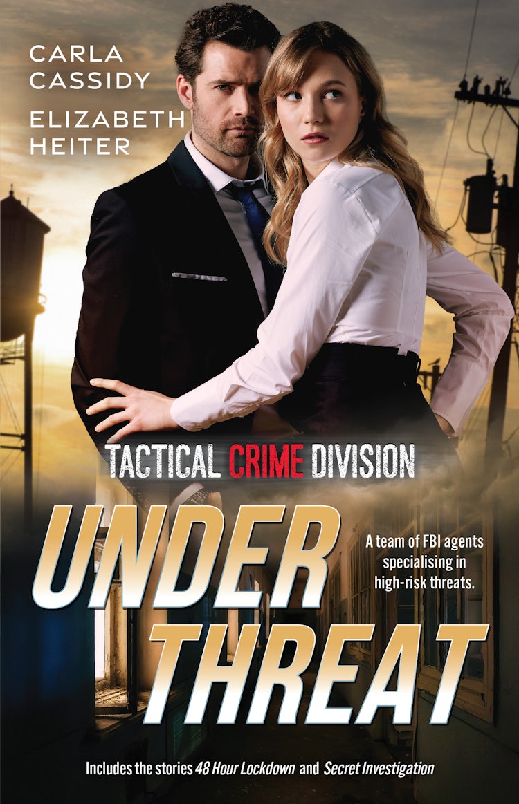 Cover image for Tactical Crime Division: Under Threat/48 Hour Lockdown/Secret Investigation, isbn: 9781038954329
