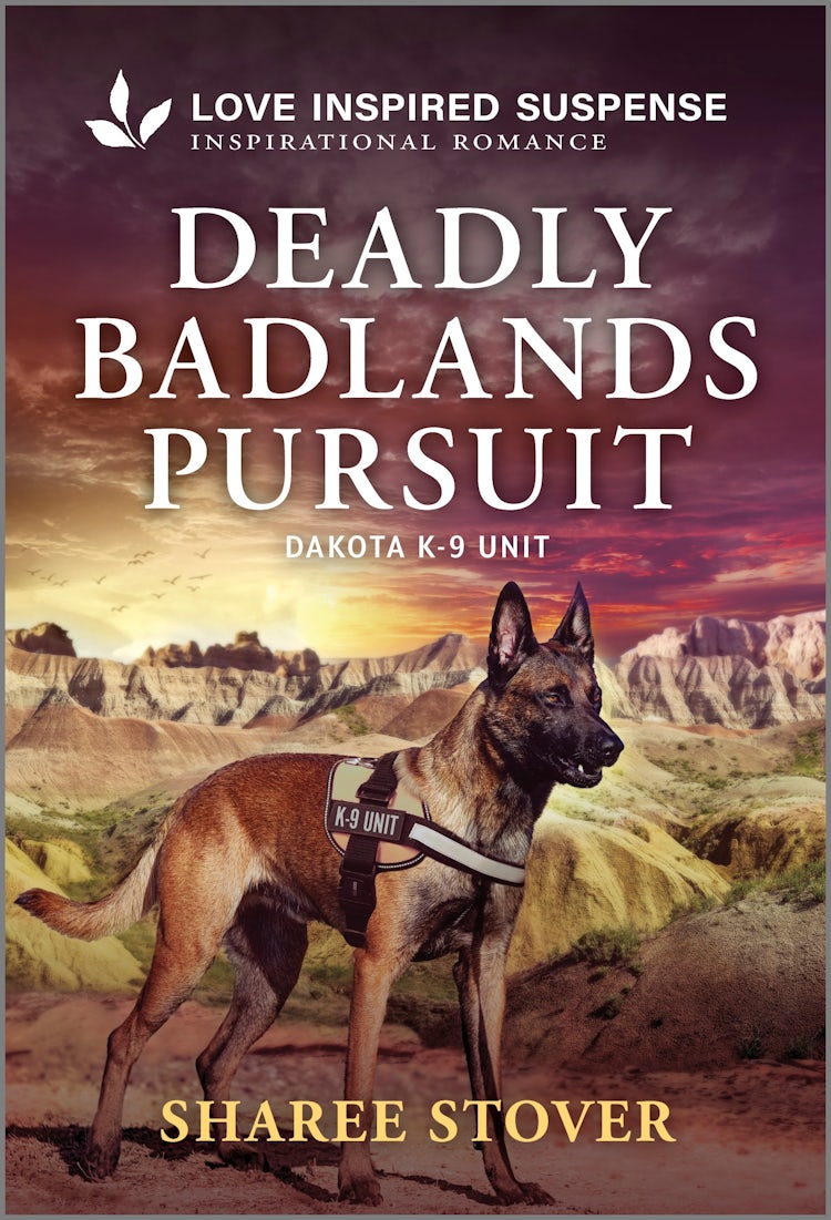 Cover image for Deadly Badlands Pursuit, isbn: 9781038954695