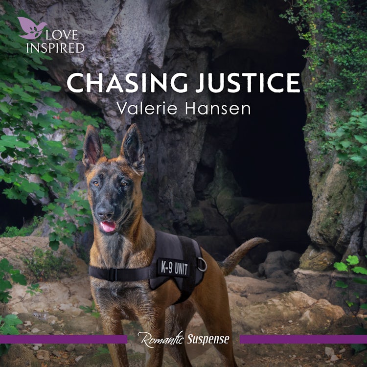 Cover image for Chasing Justice, isbn: 9781038954794