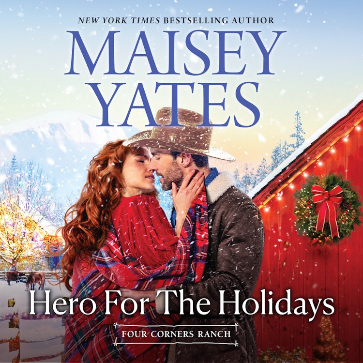 Cover image for Hero For The Holidays, isbn: 9781038954879