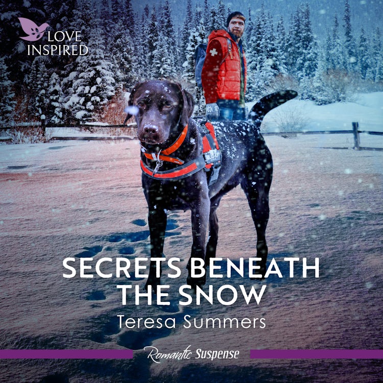 Cover image for Secrets Beneath The Snow, isbn: 9781038954947