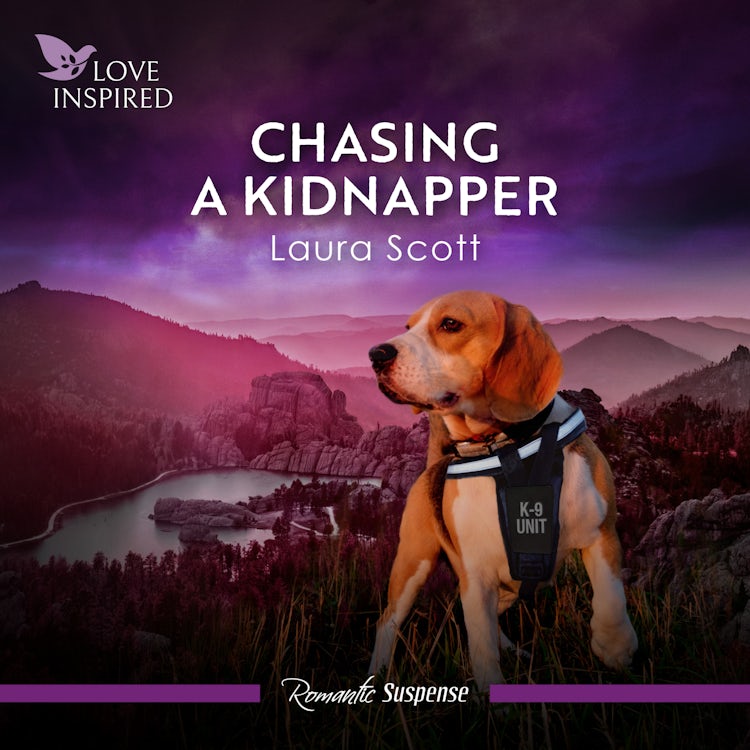 Cover image for Chasing A Kidnapper, isbn: 9781038954954