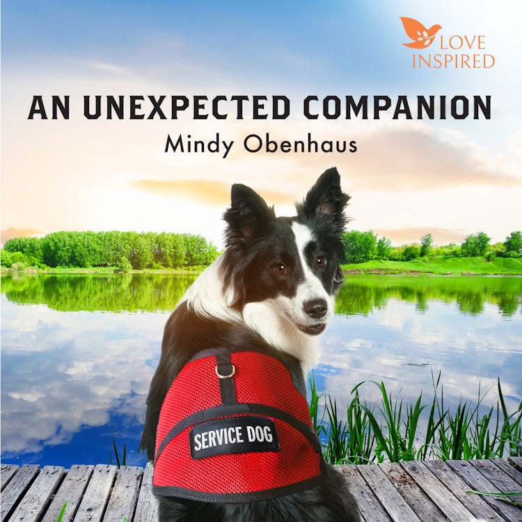 Cover image for An Unexpected Companion, isbn: 9781038955005