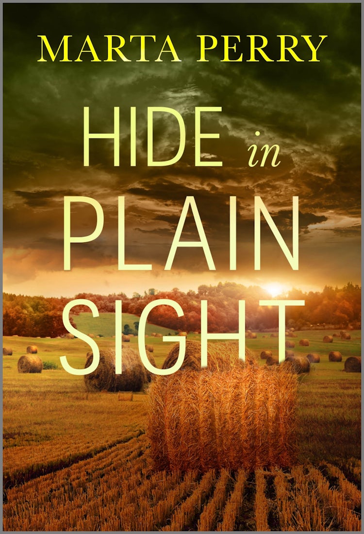 Cover image for Hide In Plain Sight, isbn: 9781038955449