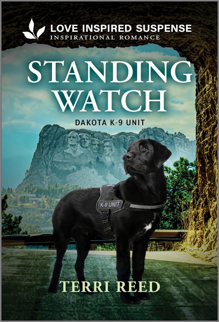 Cover image for Standing Watch, isbn: 9781038955661