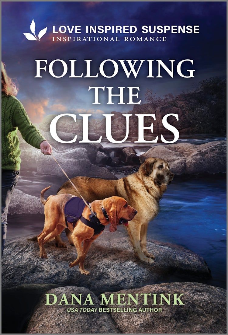 Cover image for Following The Clues, isbn: 9781038955678