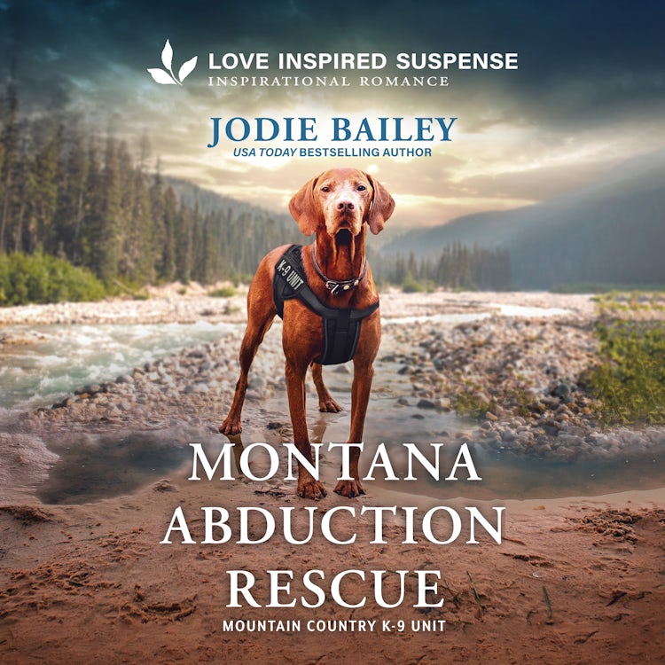 Cover image for Montana Abduction Rescue, isbn: 9781038956590