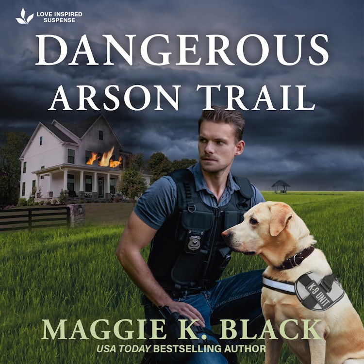 Cover image for Dangerous Arson Trail, isbn: 9781038956620