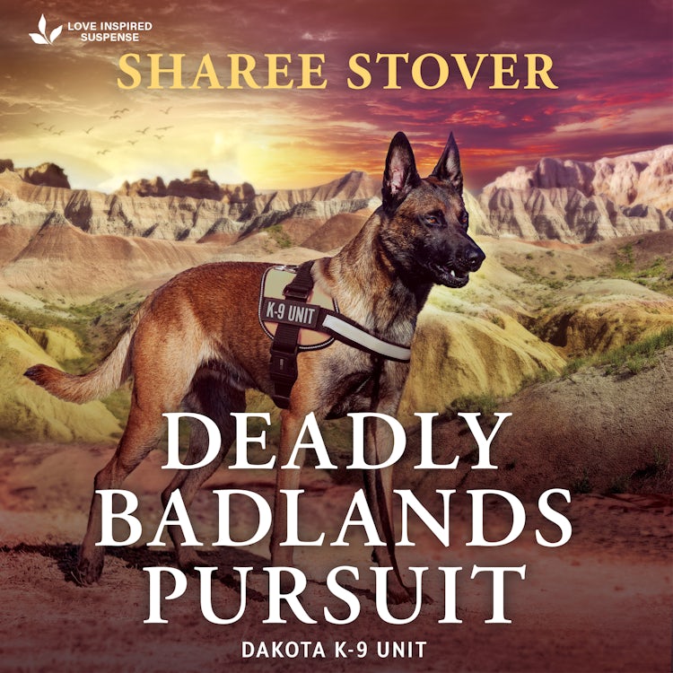 Cover image for Deadly Badlands Pursuit, isbn: 9781038956637