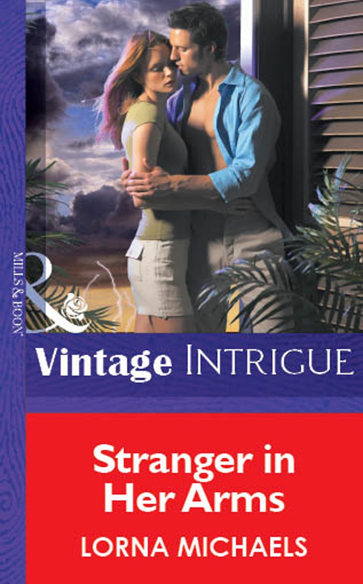 Cover image for Stranger In Her Arms, isbn: 9781038957153