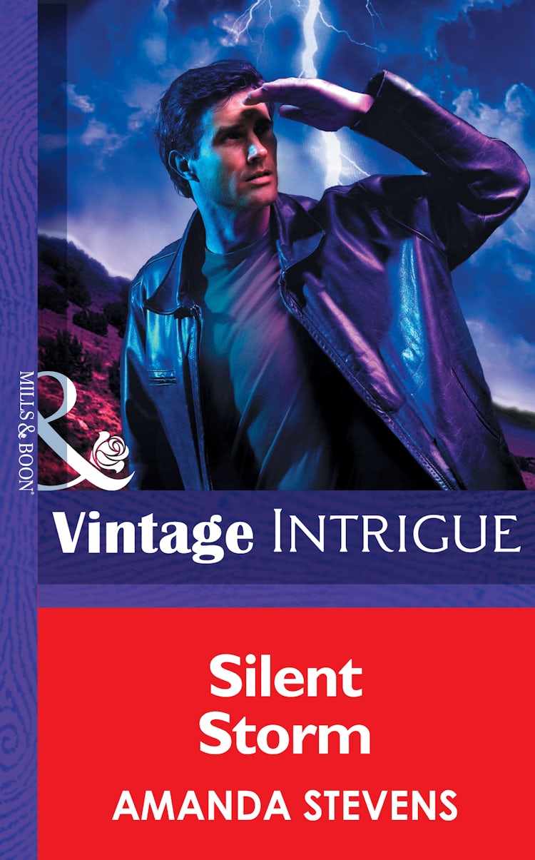 Cover image for Silent Storm, isbn: 9781038957191