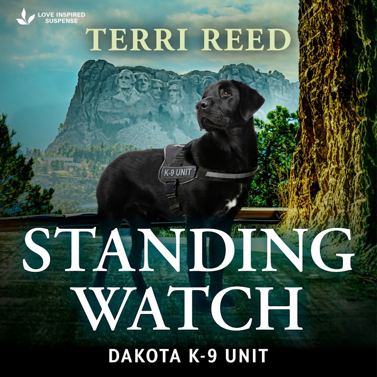 Cover image for Standing Watch, isbn: 9781038957443