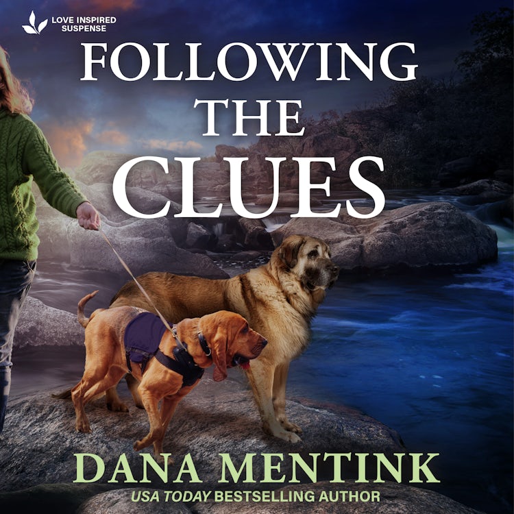Cover image for Following The Clues, isbn: 9781038957467