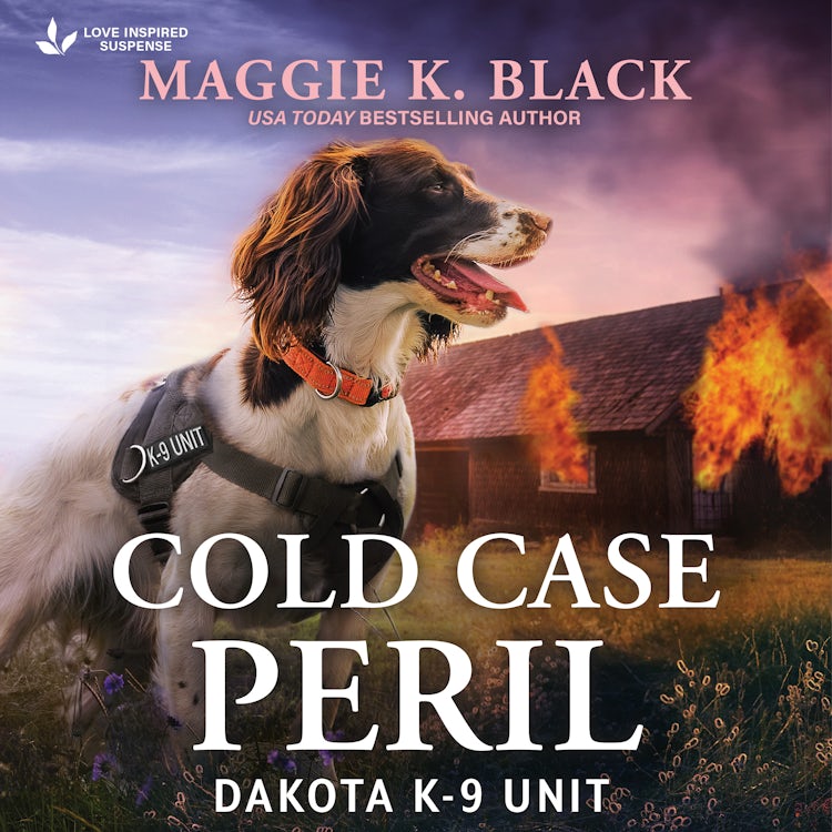 Cover image for Cold Case Peril, isbn: 9781038958075