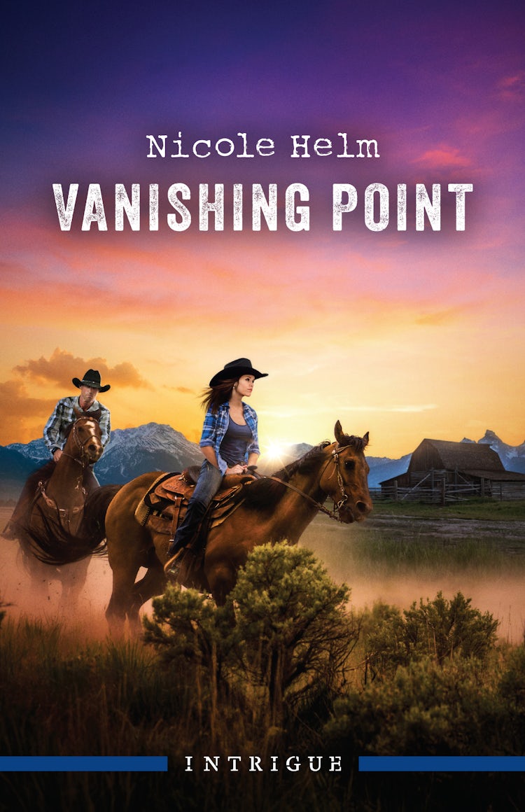Cover image for Vanishing Point, isbn: 9781038958631