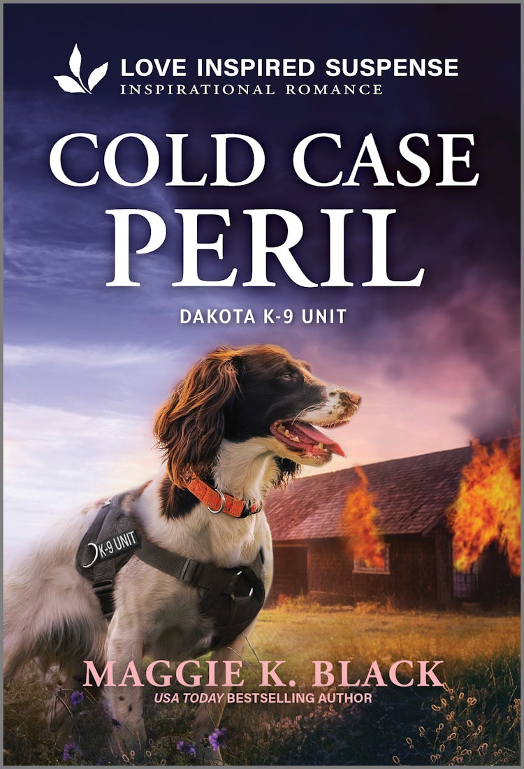 Cover image for Cold Case Peril, isbn: 9781038959416