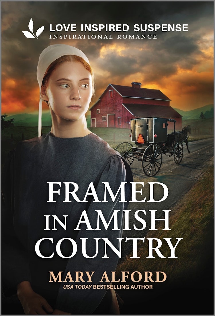 Cover image for Framed In Amish Country, isbn: 9781038959430