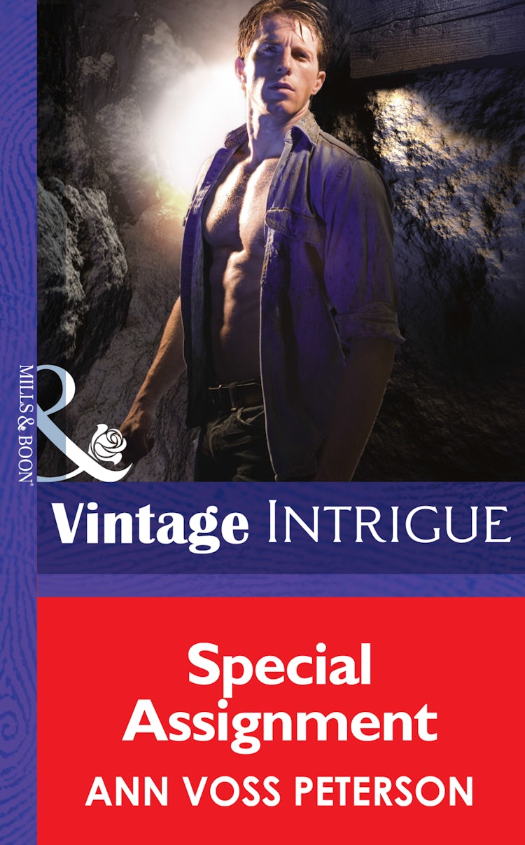 Cover image for Special Assignment, isbn: 9781038959577