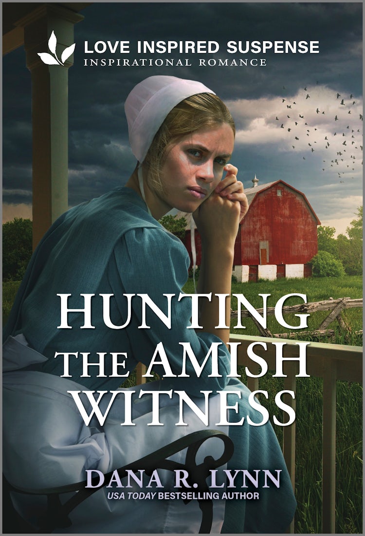 Cover image for Hunting The Amish Witness, isbn: 9781038961006