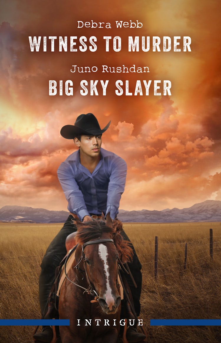 Cover image for Witness To Murder/Big Sky Slayer, isbn: 9781038961648