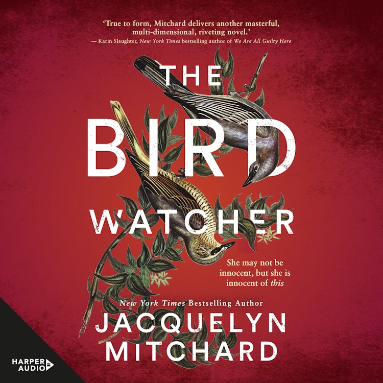 Cover image for The Birdwatcher, isbn: 9781038962546