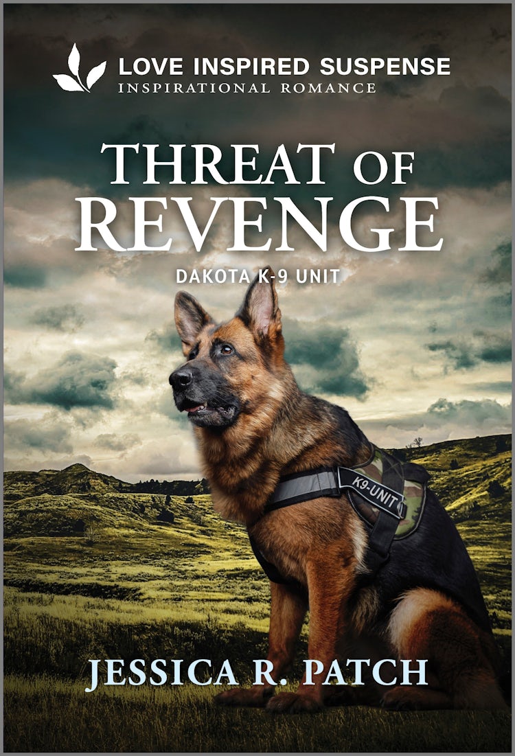 Cover image for Threat Of Revenge, isbn: 9781038962713