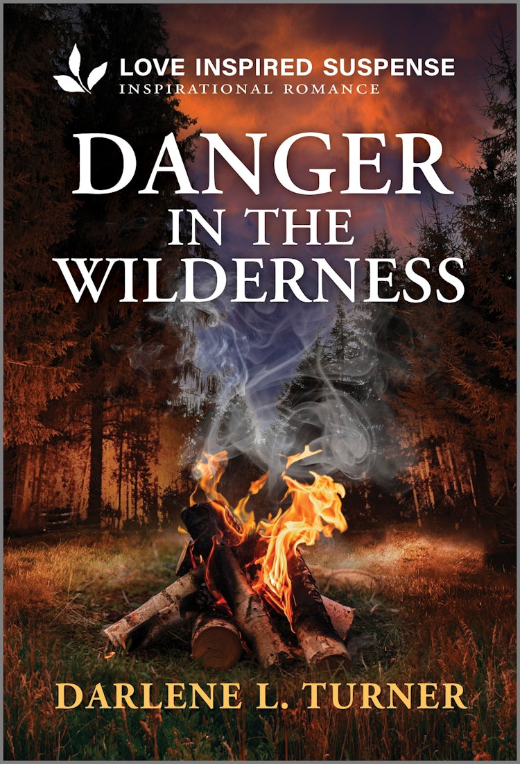 Cover image for Danger In The Wilderness, isbn: 9781038962737