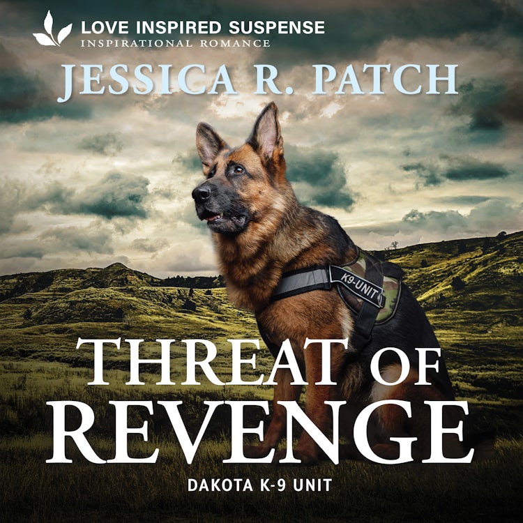 Cover image for Threat Of Revenge, isbn: 9781038963642