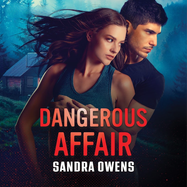 Cover image for Dangerous Affair, isbn: 9781038963659