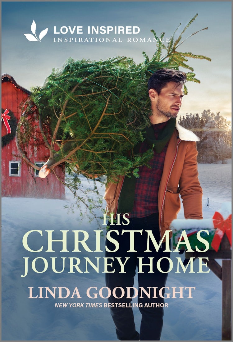 Cover image for His Christmas Journey Home, isbn: 9781038964304