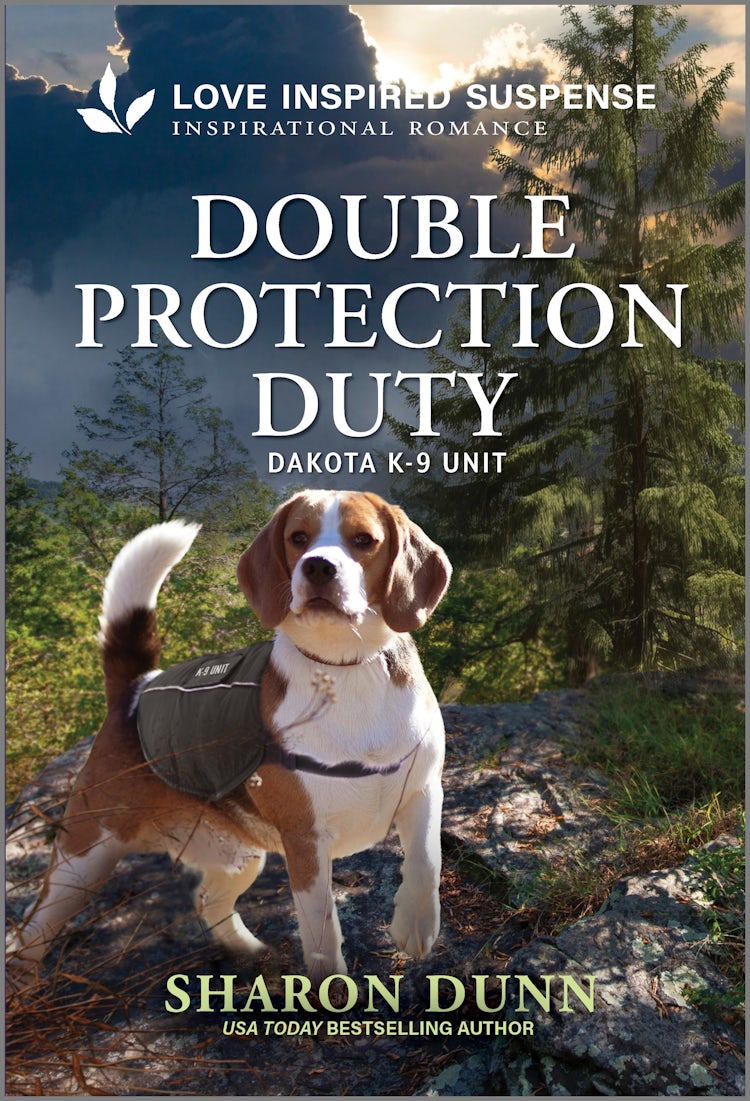 Cover image for Double Protection Duty, isbn: 9781038964359