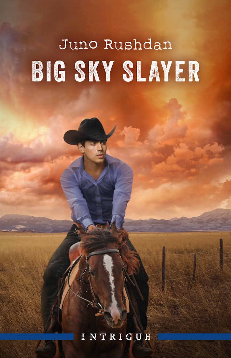 Cover image for Big Sky Slayer, isbn: 9781038965547