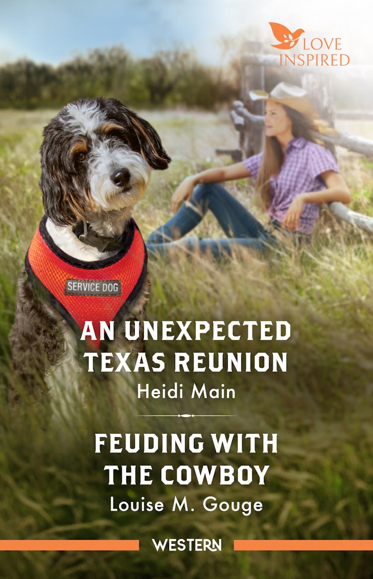 Cover image for An Unexpected Texas Reunion/Feuding With The Cowboy, isbn: 9781038967039