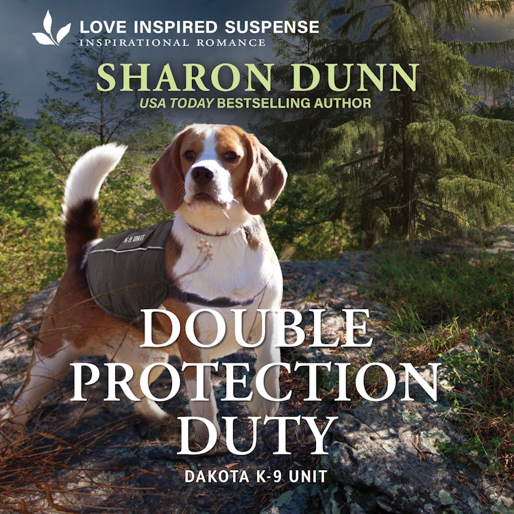 Cover image for Double Protection Duty, isbn: 9781038967596
