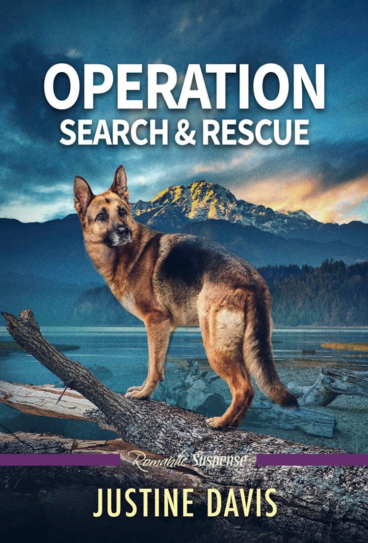 Cover image for Operation Search & Rescue, isbn: 9781038968227