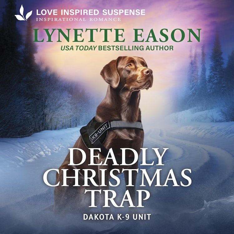 Cover image for Deadly Christmas Trap, isbn: 9781038968395