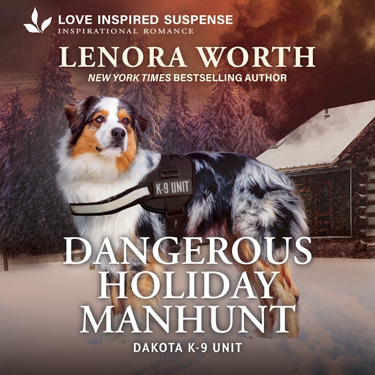 Cover image for Dangerous Holiday Manhunt, isbn: 9781038968401