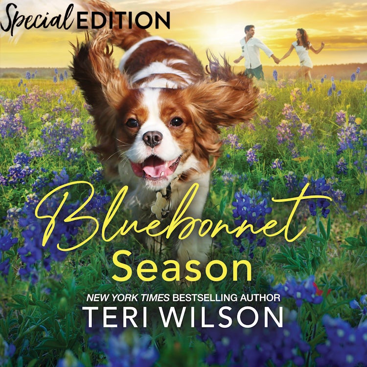 Cover image for Bluebonnet Season, isbn: 9781038968463