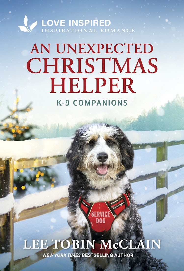 Cover image for An Unexpected Christmas Helper, isbn: 9781038968494