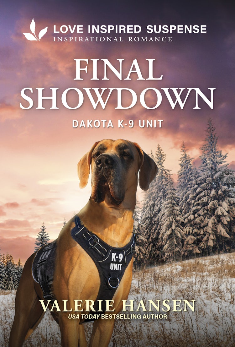 Cover image for Final Showdown, isbn: 9781038968555