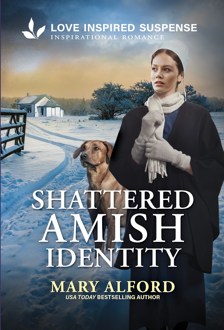 Cover image for Shattered Amish Identity, isbn: 9781038968579