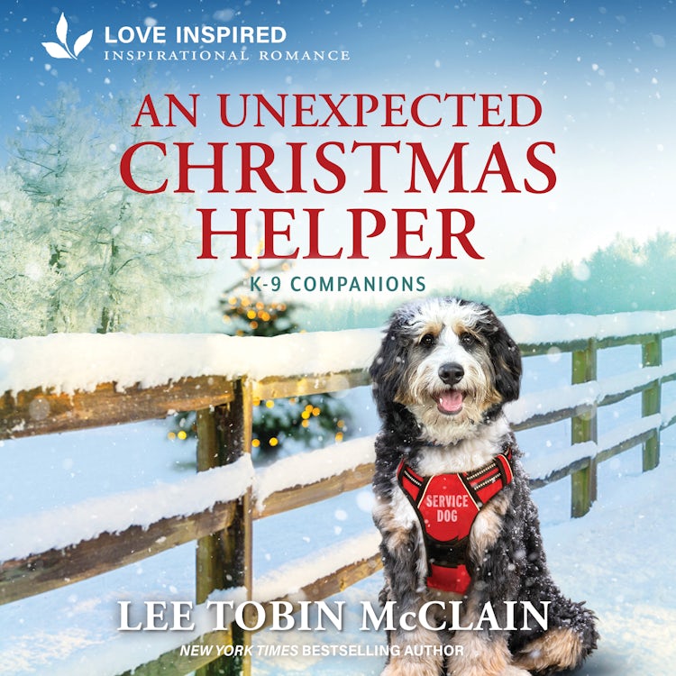Cover image for An Unexpected Christmas Helper, isbn: 9781038968920