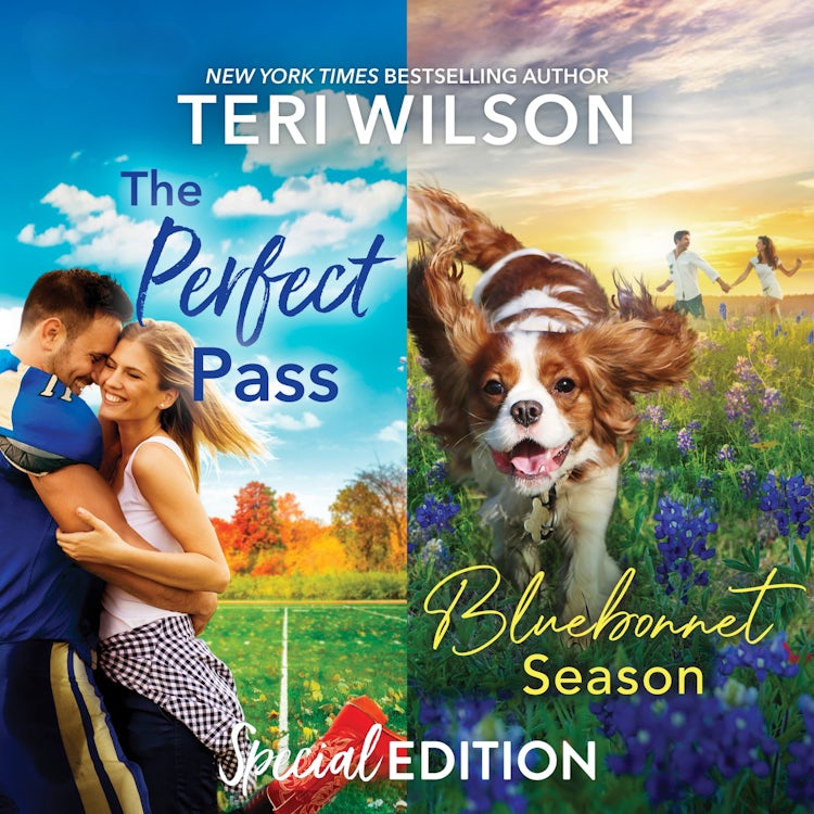 Cover image for The Perfect Pass & Bluebonnet Season/The Perfect Pass/Bluebonnet Season, isbn: 9781038970701