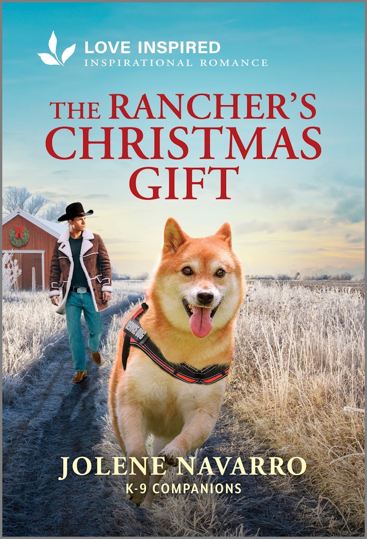 Cover image for The Rancher's Christmas Gift, isbn: 9781038970992