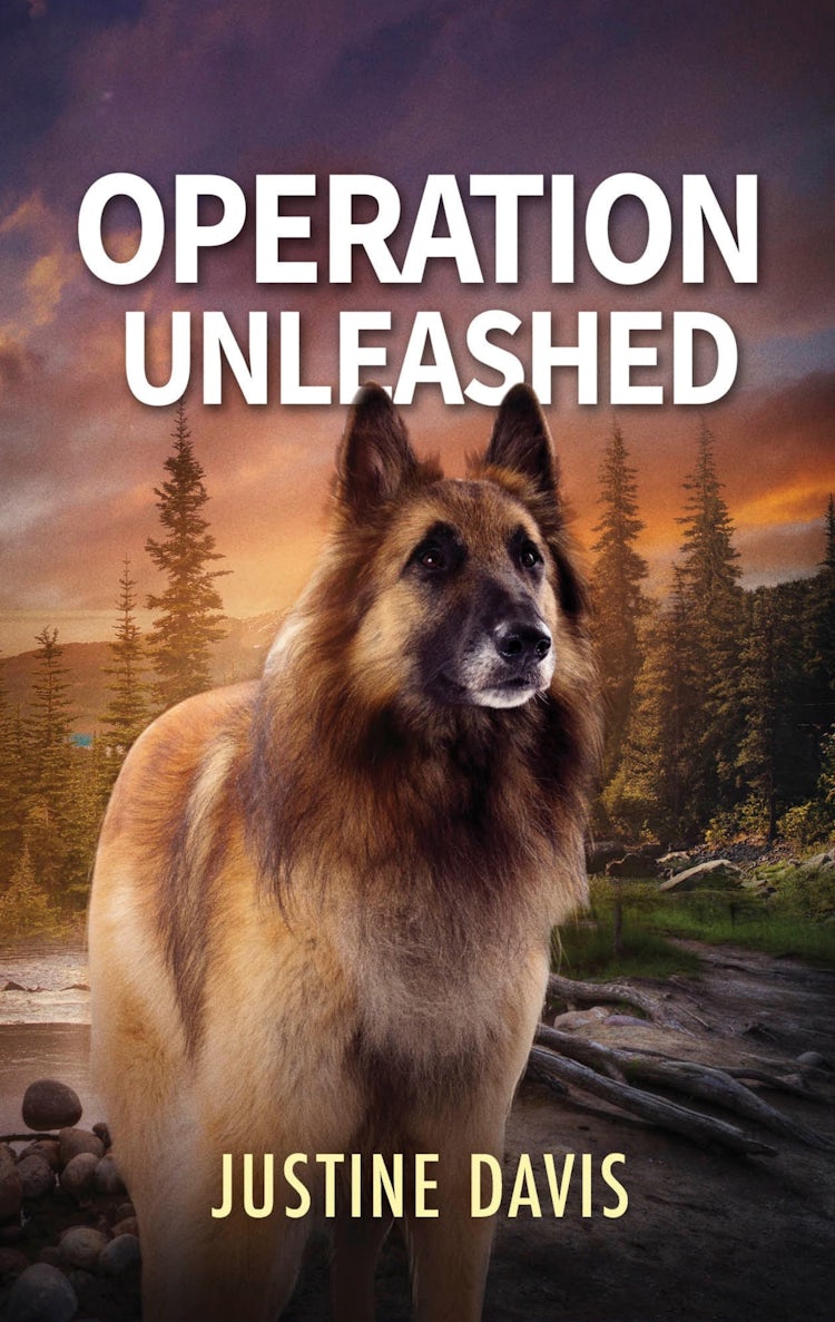 Cover image for Operation Unleashed, isbn: 9781038971326