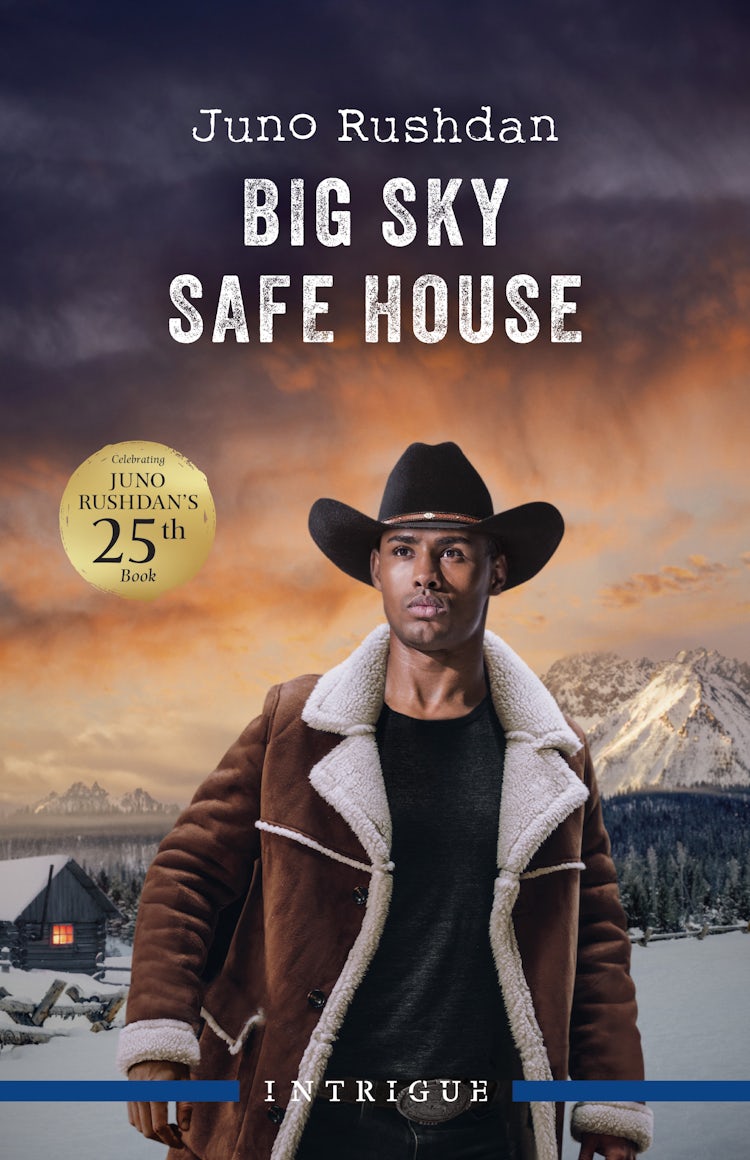 Cover image for Big Sky Safe House, isbn: 9781038971883